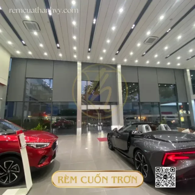 Rem cuon tron mau xam 8