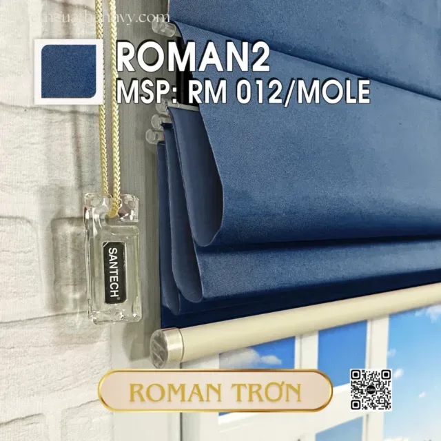 Rem roman tron blackout 13