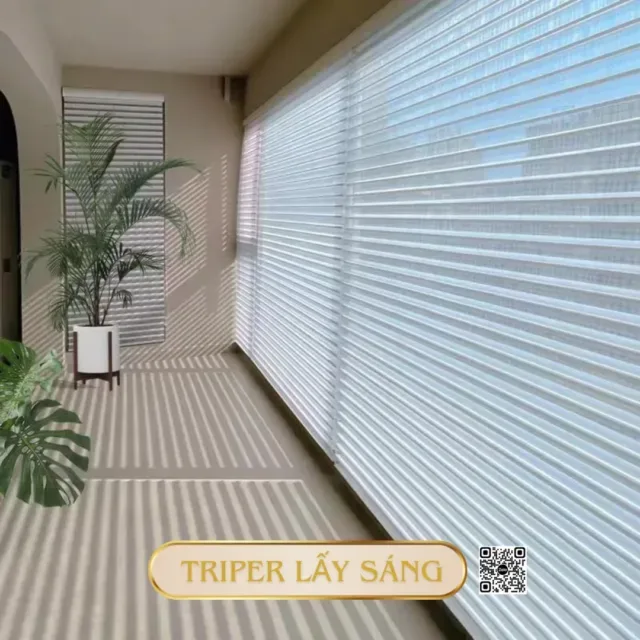 Triper trang 5