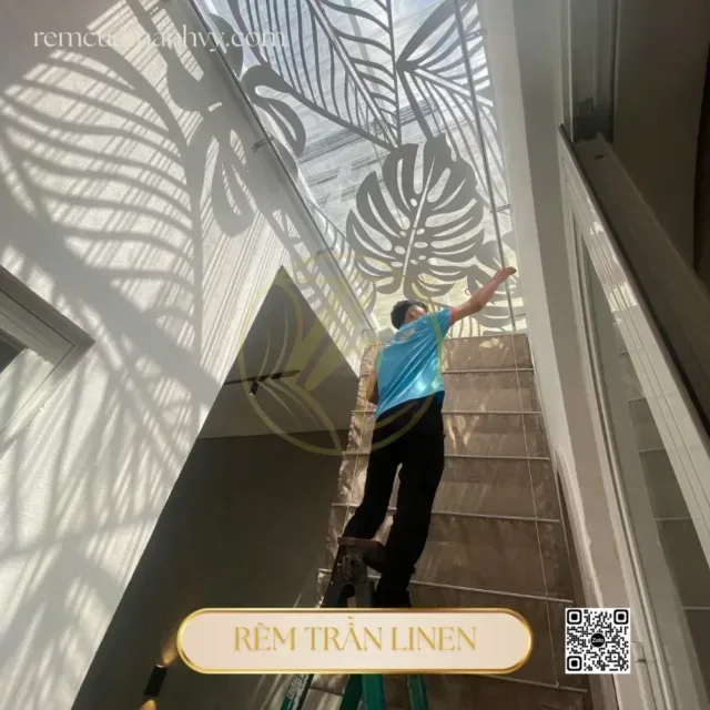 Rem tran linen 2